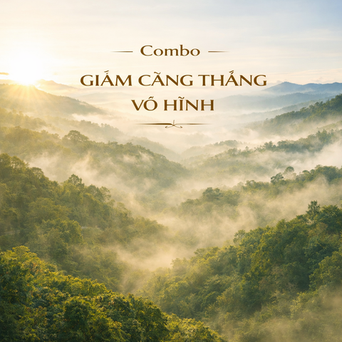 Combo Căng Thẳng Vô Hình – Khi Cơ Thể Kiệt Quệ Nhưng Bạn Không Biết Vì Sao