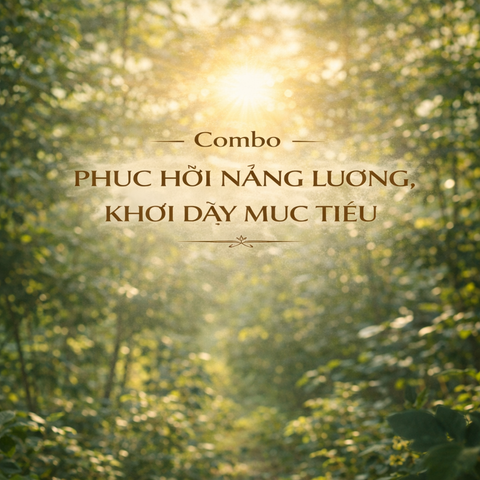 Tinh dầu phục hồi năng lượng sống  – Khơi dậy mục tiêu từ bên trong