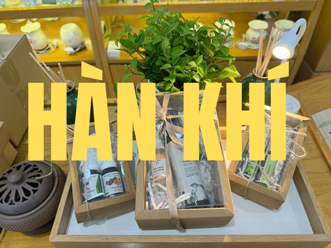 Bộ Sản Phẩm Hàn Khí & Sách Tinh Dầu – Giải pháp tự nhiên