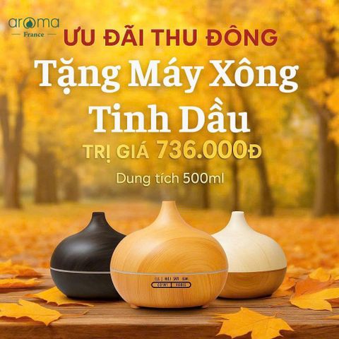 Máy Xông Tinh Dầu Aroma 500ml – Mẫu bầu dục Màu Gỗ Vàng & Màu Mun  | Hẹn Giờ, Hơi Phun Mạnh, Bảo Hành 3 Tháng