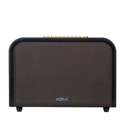 ACNOS ACOUSTIC 3S