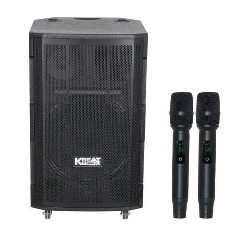 SONCAMEDIA CB4800PRO