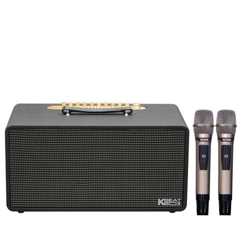 SONCAMEDIA CS450PRO