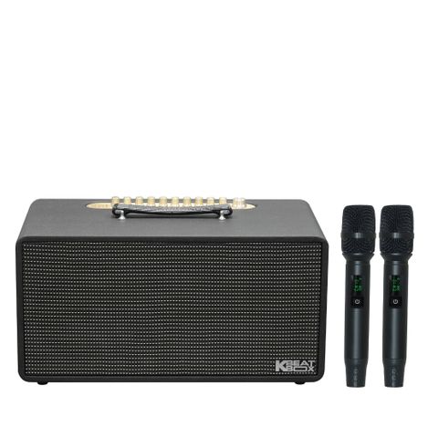 SONCAMEDIA CS450PRO V2
