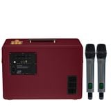 SONCAMEDIA D'Auris 300