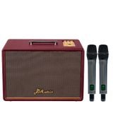 SONCAMEDIA D'Auris 300