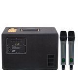 SONCAMEDIA D'Auris 300