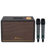 SONCAMEDIA D'Auris 300