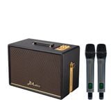 SONCAMEDIA D'Auris 300