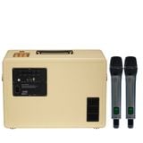 SONCAMEDIA D'Auris 300