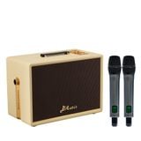 SONCAMEDIA D'Auris 300