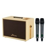 SONCAMEDIA D'Auris 300