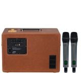 SONCAMEDIA D'Auris 300