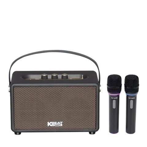 SONCAMEDIA F60