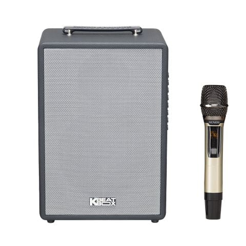 SONCAMEDIA CS201F
