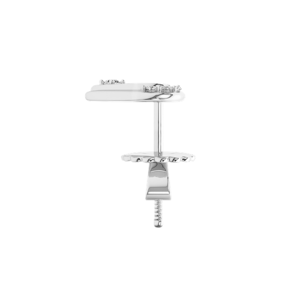 Bông Tai Nguyên Chiếc - ERFNJ2504881