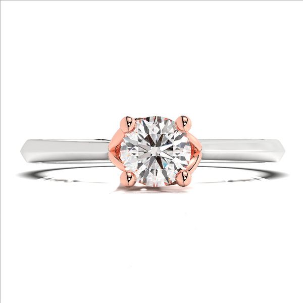 Nhẫn Nữ - RIFYJ2506361