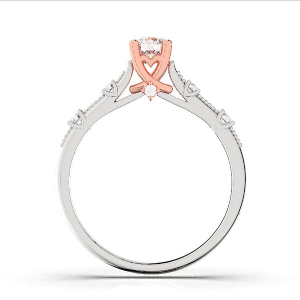 Nhẫn Nữ - RIFYJ2506411