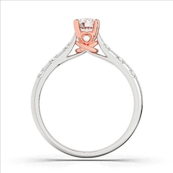 Nhẫn Nữ - RIFYJ2506551