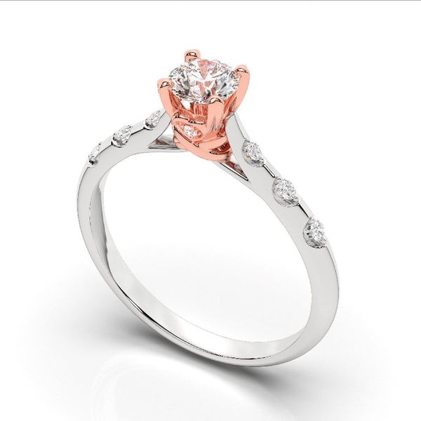 Nhẫn Nữ - RIFYJ2506551