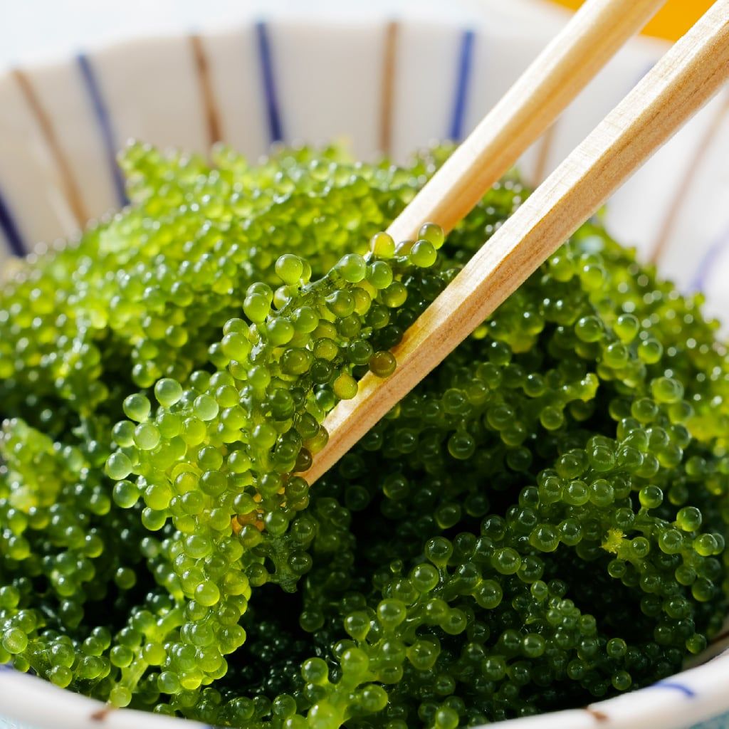 Rong nho tách nước