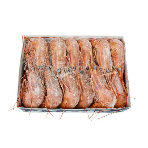 Tôm Botan đông lạnh size XL 24 con/hộp/kg