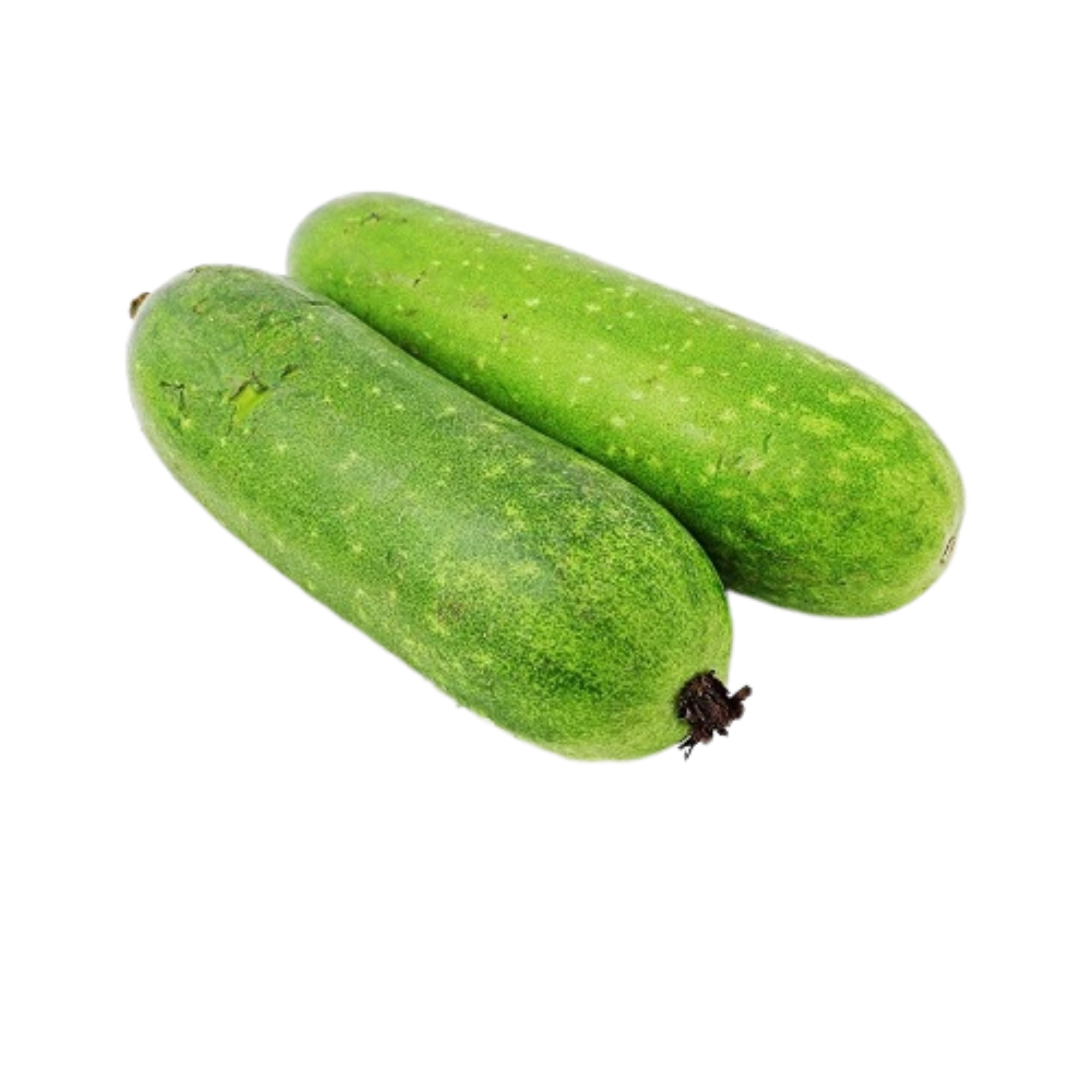 Bí Đao Trái