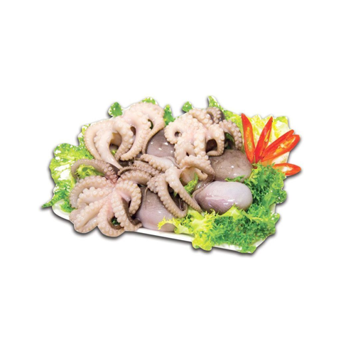 Bạch Tuộc Tươi 12-13 con/kg