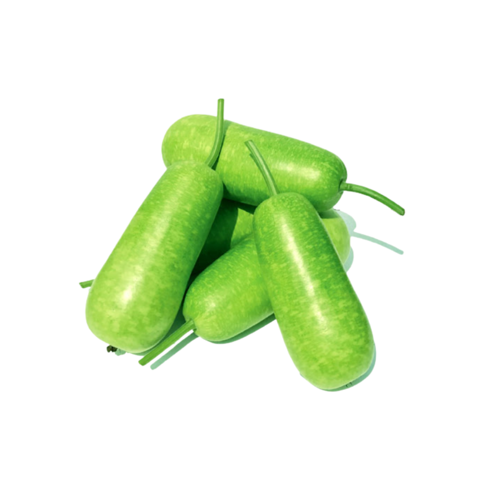 Bầu Trái