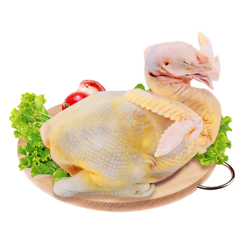 Gà Ta Nguyên Con Làm Sạch