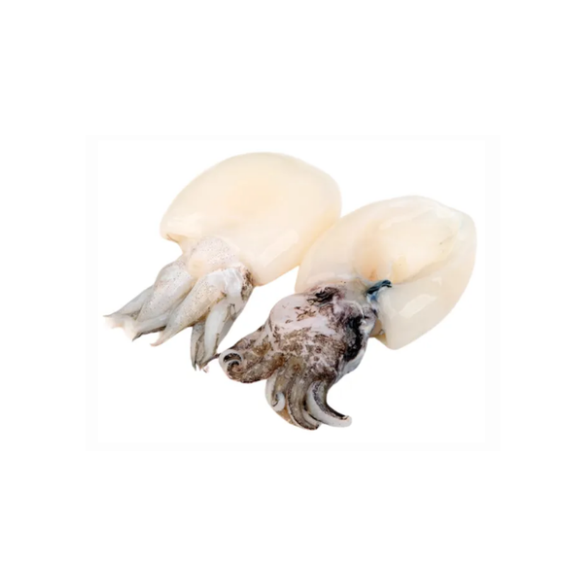 Alofish Mực Nang Làm Sạch (300g)