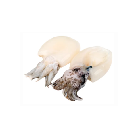 Alofish Mực Nang Làm Sạch (300g)