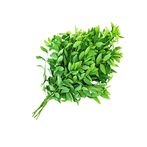 Rau Bồ Ngót 300G