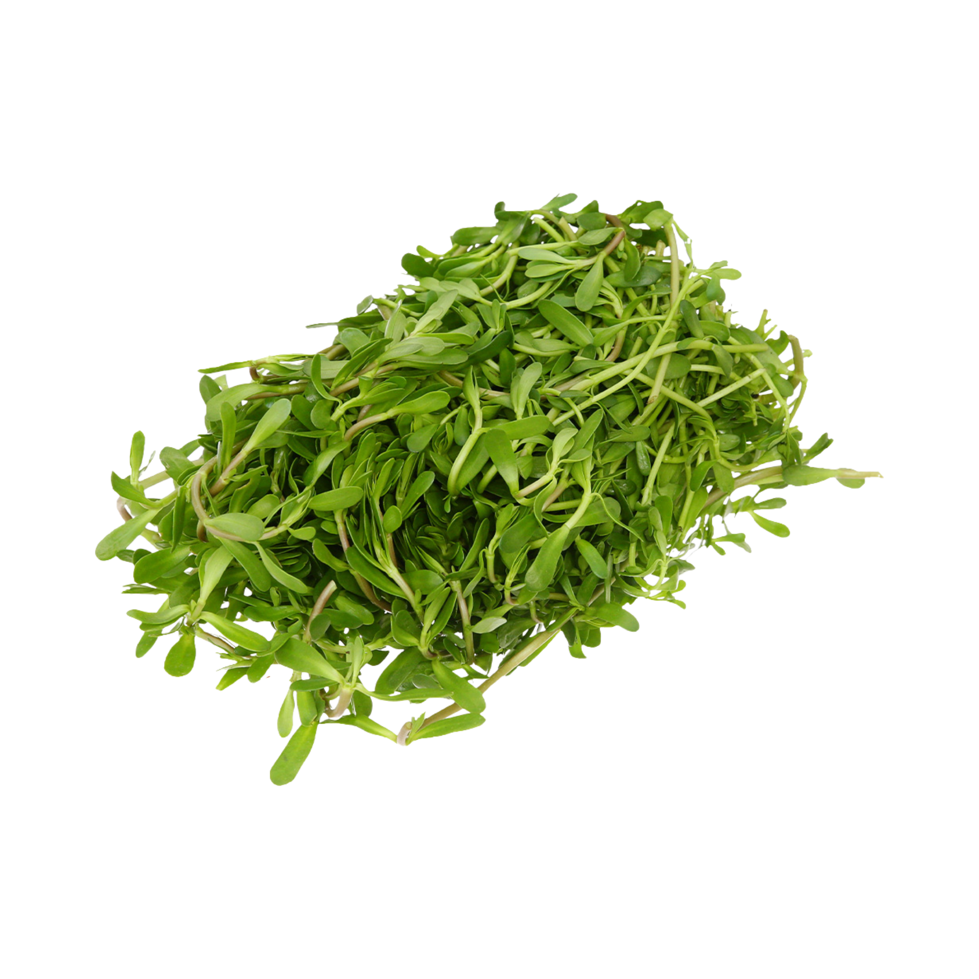 Rau Đắng 300G