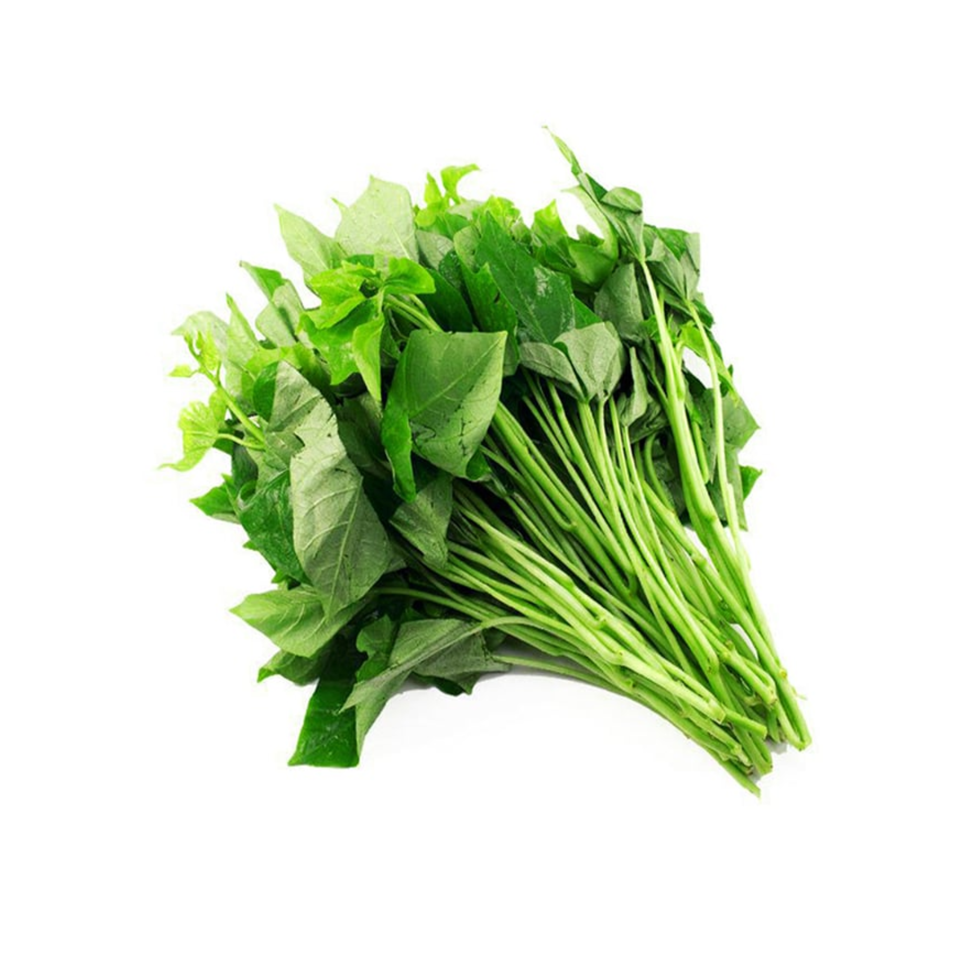 Rau Củ Quả