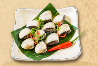  Nghêu Biển 