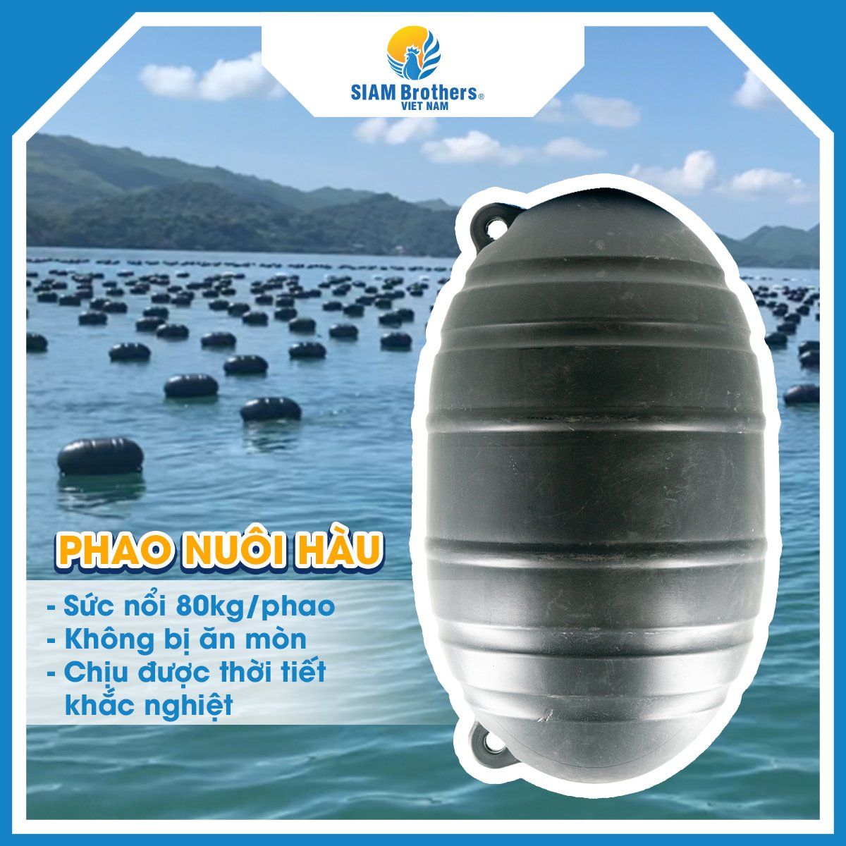  Phao HDPE Nuôi Hàu, Nuôi Nhuyễn Thể (ngao, tu hài...) 