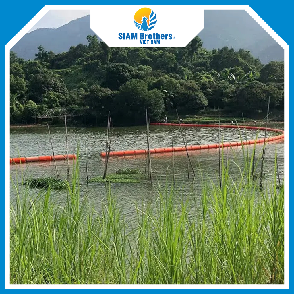 Phao Chắn Rác 400 x 1000MM