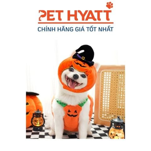  Nón Bông Bí Ngô Halloween Cho Thú Cưng 