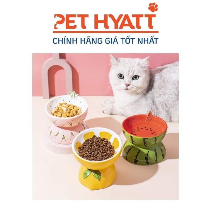 Bát Ăn Sứ Nhiều Kích Cở Mẫu Mã Dễ Thương Chống Gù Cho Thú Cưng