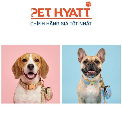  Set 3 Món Vòng Cổ Kèm Dây Dắt & Túi Nhỏ Cho Thú Cưng (Size S) 