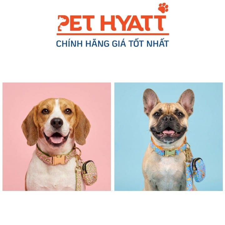 Set 3 Món Vòng Cổ Kèm Dây Dắt & Túi Nhỏ Cho Thú Cưng (Size S)
