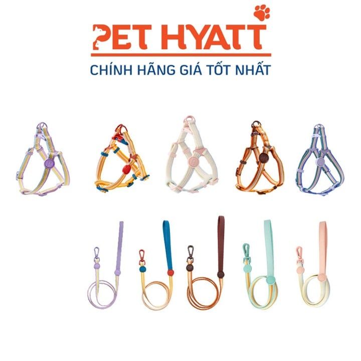 Dây Dắt Kèm Yếm Nhiều Màu Sắc Cầu Vòng Cho Thú Cưng