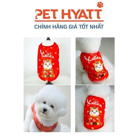  Áo Tết Ngựa Vàng Cầm Túi Tiền YOKO Cho Thú Cưng (size 3-10) 