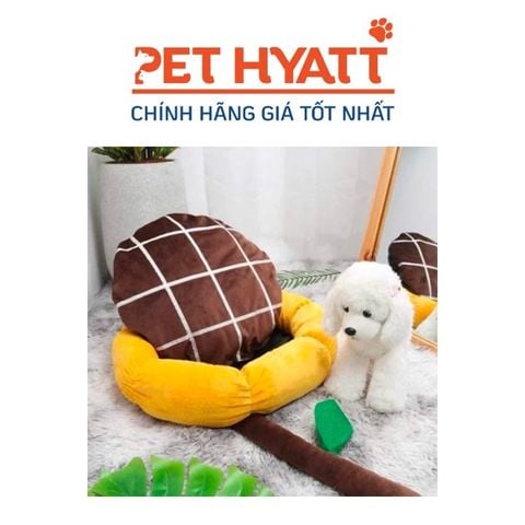  Nệm Hình Hoa Hướng Dương Cho Thú Cưng 