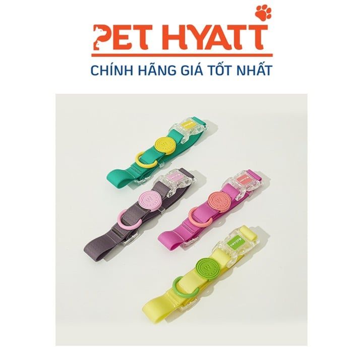 Vòng Cổ Kèm Dây Dắt Màu Sắc Neon WaterProof (S-M)