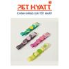Vòng Cổ Kèm Dây Dắt Màu Sắc Neon WaterProof (S-M)