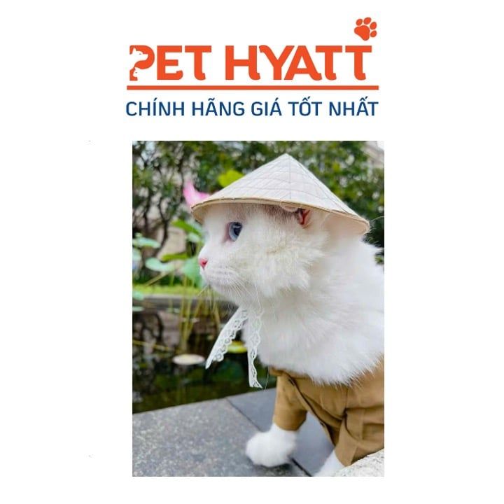 Nón Lá Cho Thú Cưng