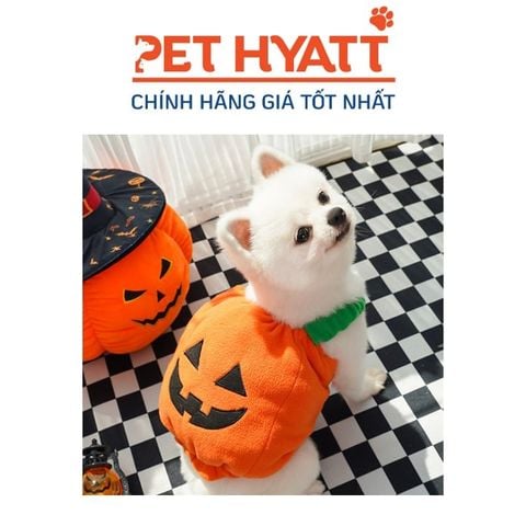  Áo Bông Bí Ngô Halloween Cho Thú Cưng (XS-L) 