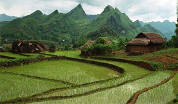 Các hành vi bị nghiêm cấm trong lĩnh vực đất đai